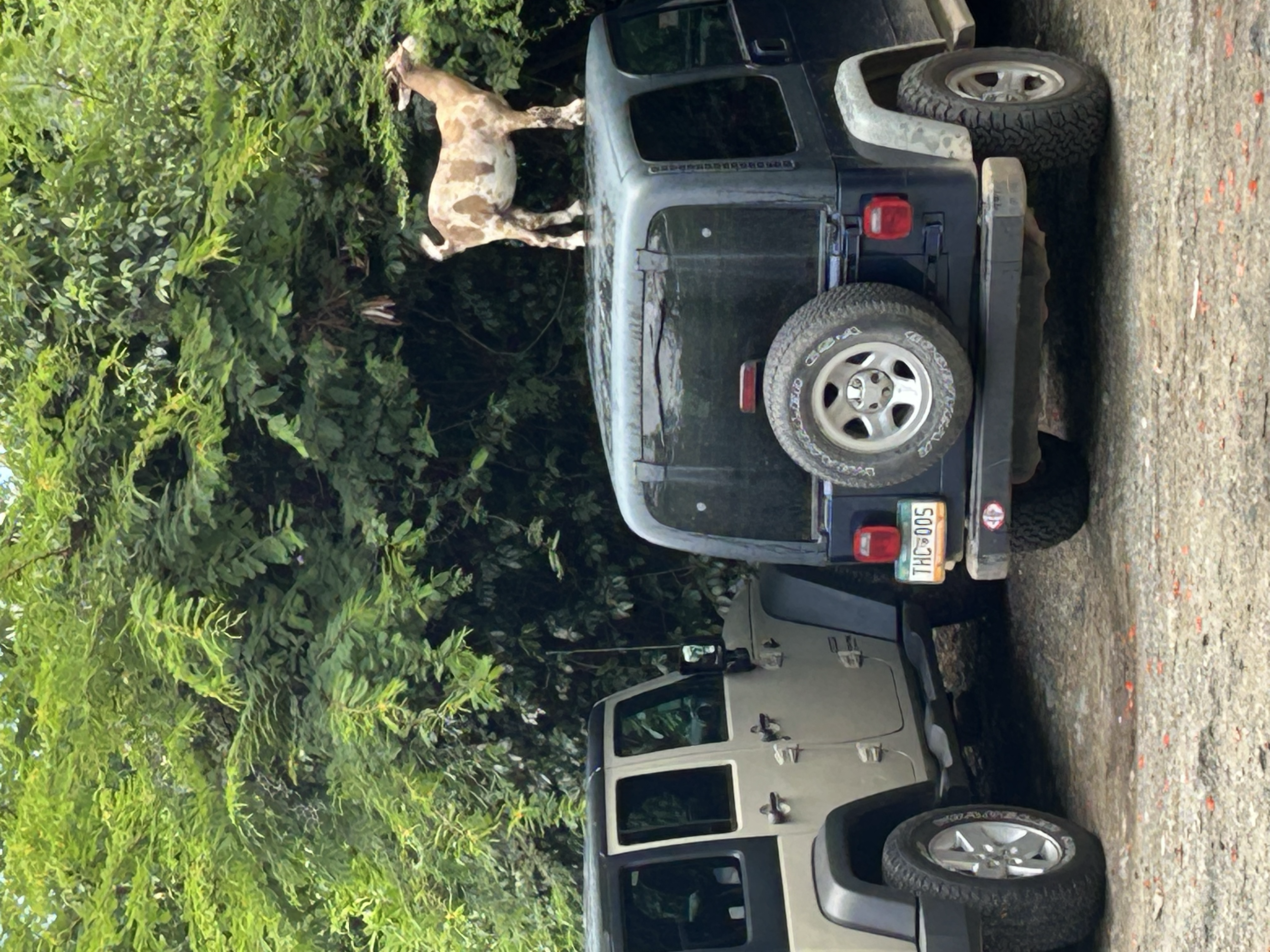 Submit your answer or ask for help